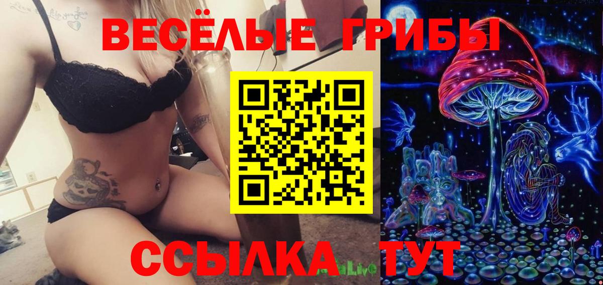 Курчатов  Псилоцибиновые грибы Magic Shrooms  Вход с VPN 